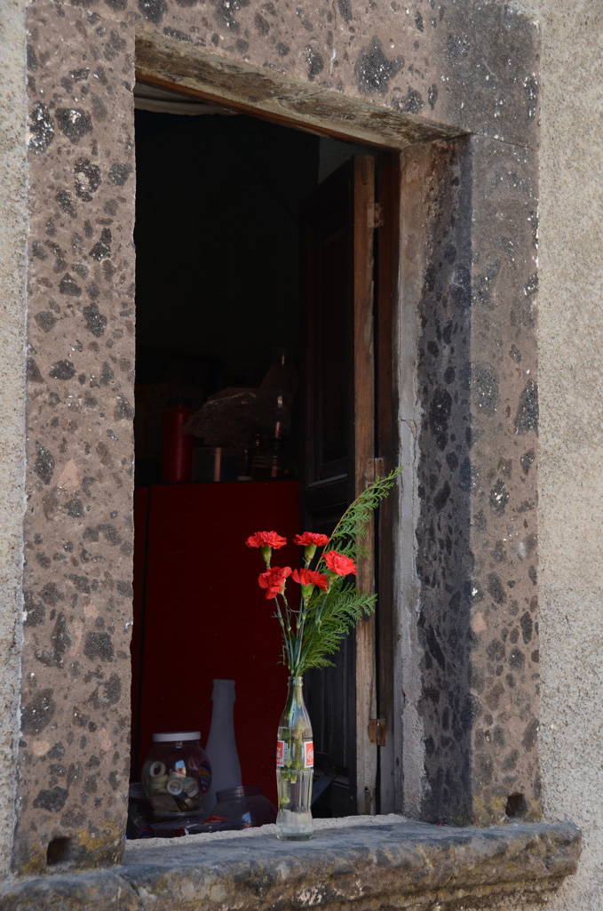 Alane Lalonde - Red Flowers in San Miguel de Allende