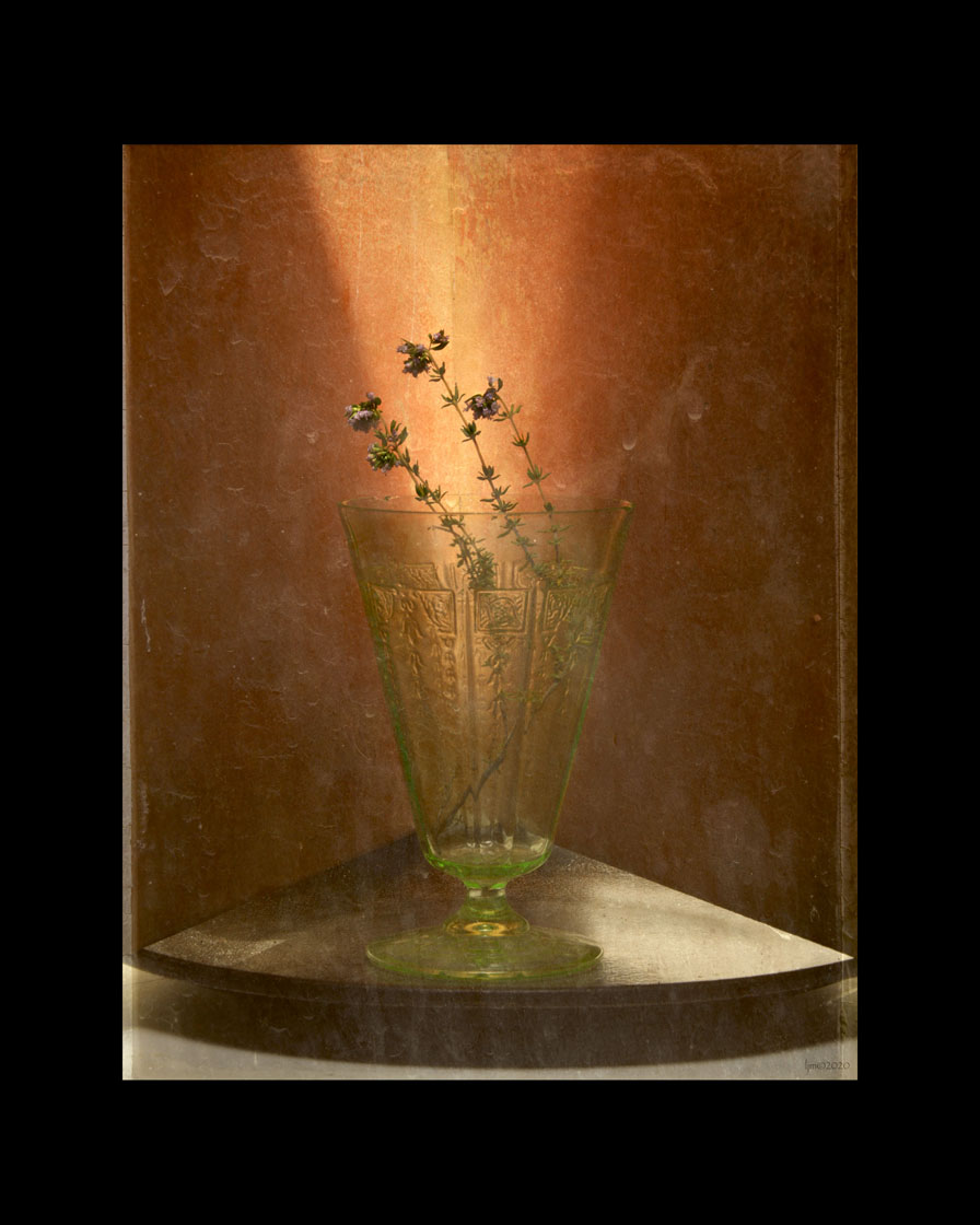 Larry Melious - Thyme in a vase