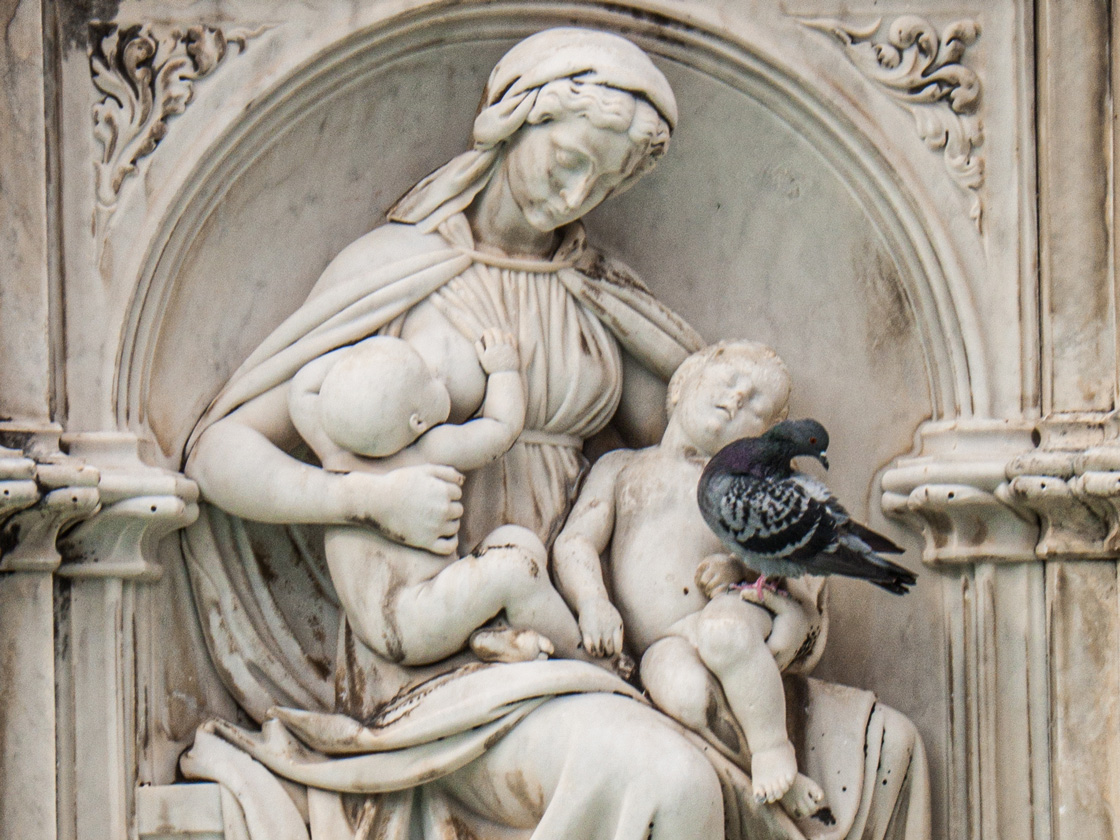 Madonna and the Pigeon - Pierre Mineau