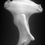 Alanda Nay's underwater photogaphy