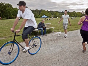 Photosynthesis 2013 John Denniston