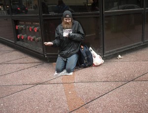 Photosynthesis 2013 John Denniston