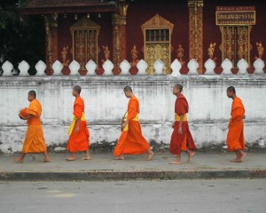 Kate Metzger Photosynthesis 2013