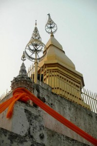 Kate Metzger Photosynthesis 2013